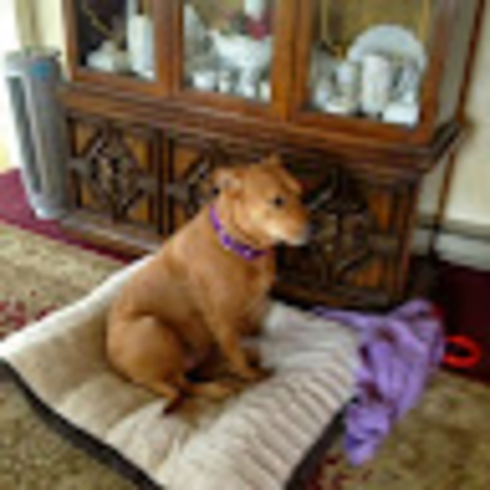 Meet your Posher, Tina